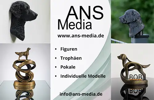 ANS Media Banner