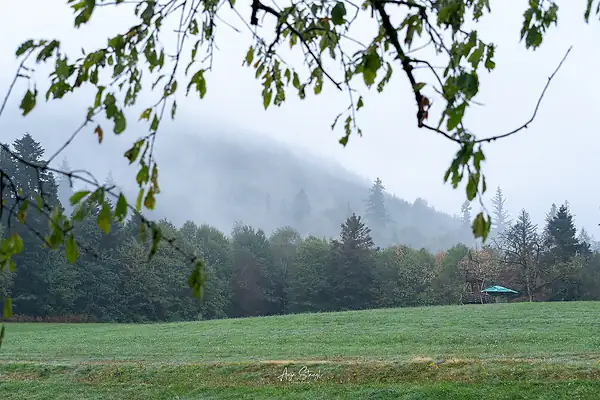 Photograph 0015925