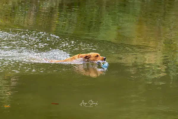 Photograph 0016143