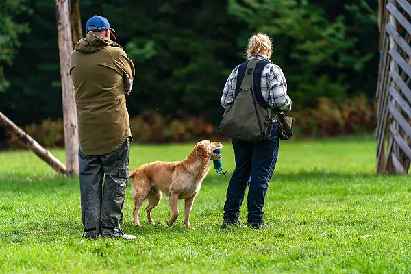 Photograph 0016252